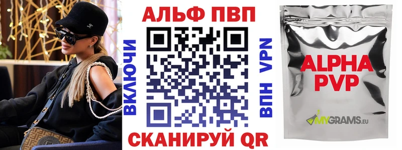 kraken как войти  Талица  Alpha PVP СК  дарнет шоп 