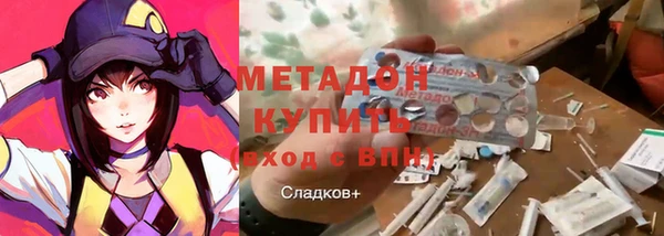 индика Алзамай