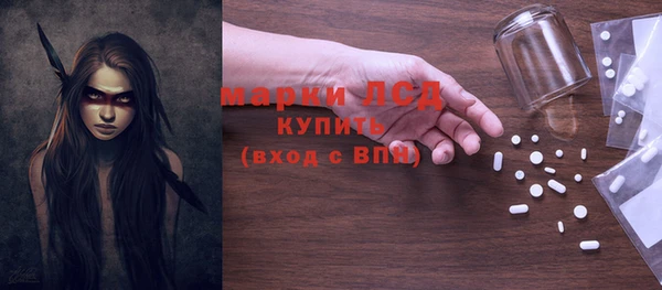 индика Алзамай