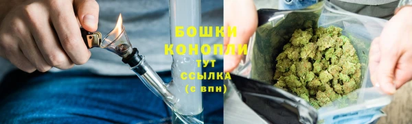 PSILOCYBIN Абаза