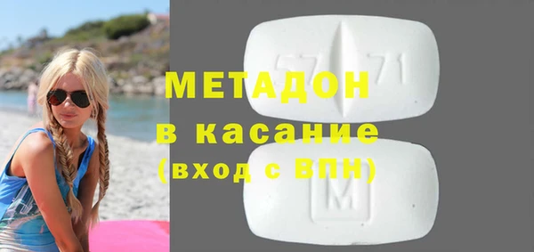 индика Алзамай
