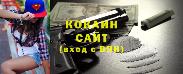 индика Алзамай