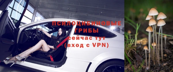 индика Алзамай